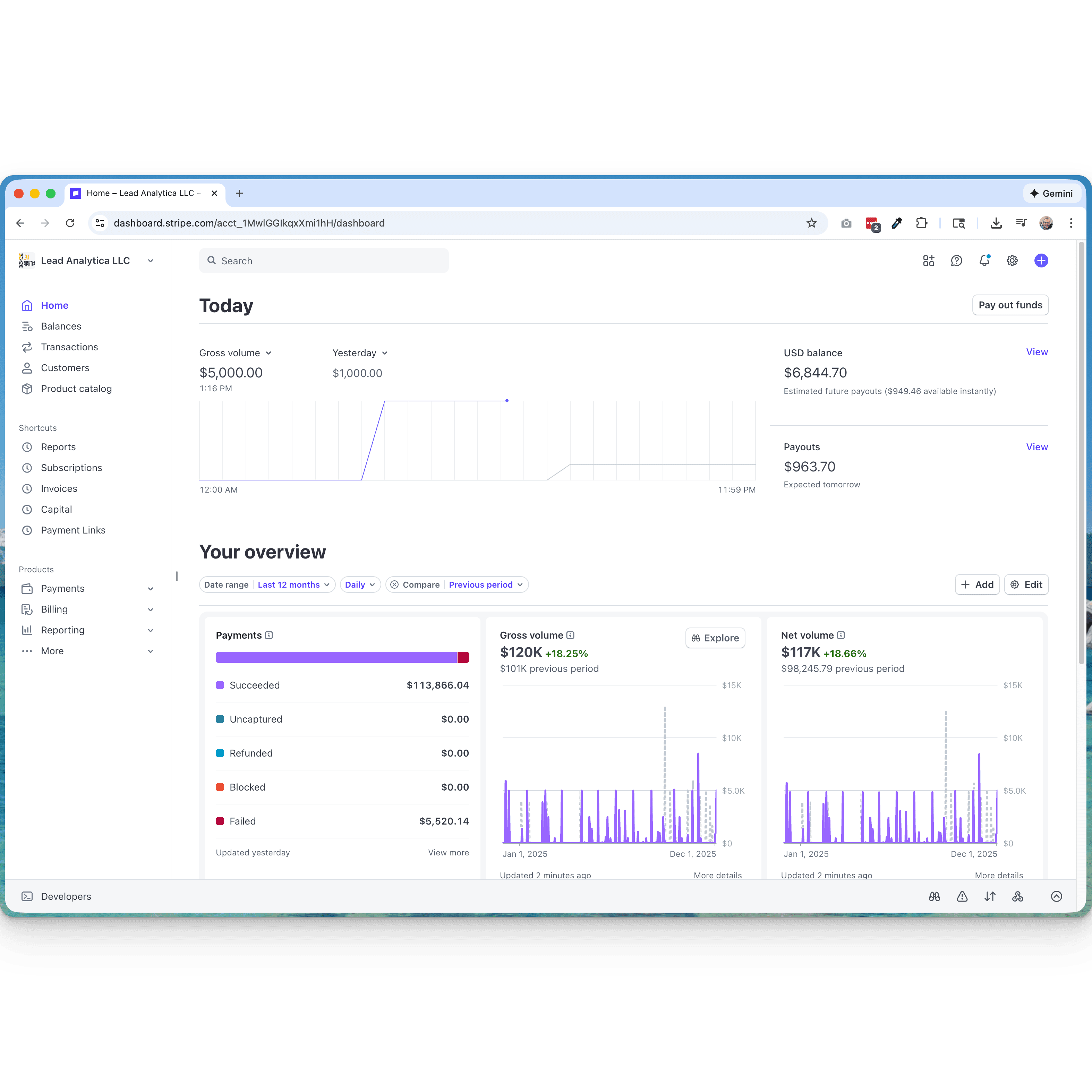 Stripe revenue proof